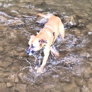 Meet your Posher, Steve